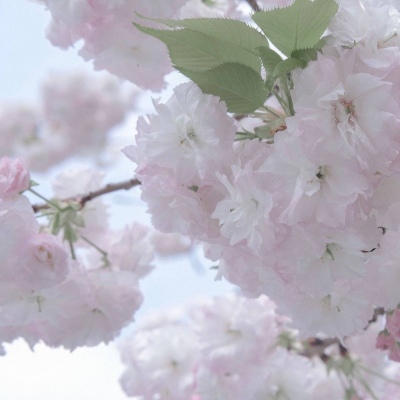 兽设星空场景创作FurryQQ群